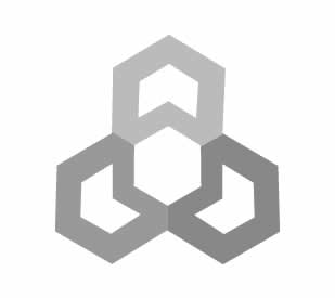 coordinador de marketing